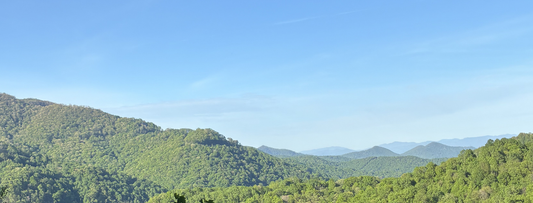 Berm Park MTB — Chestnut Mountain, Canton NC
